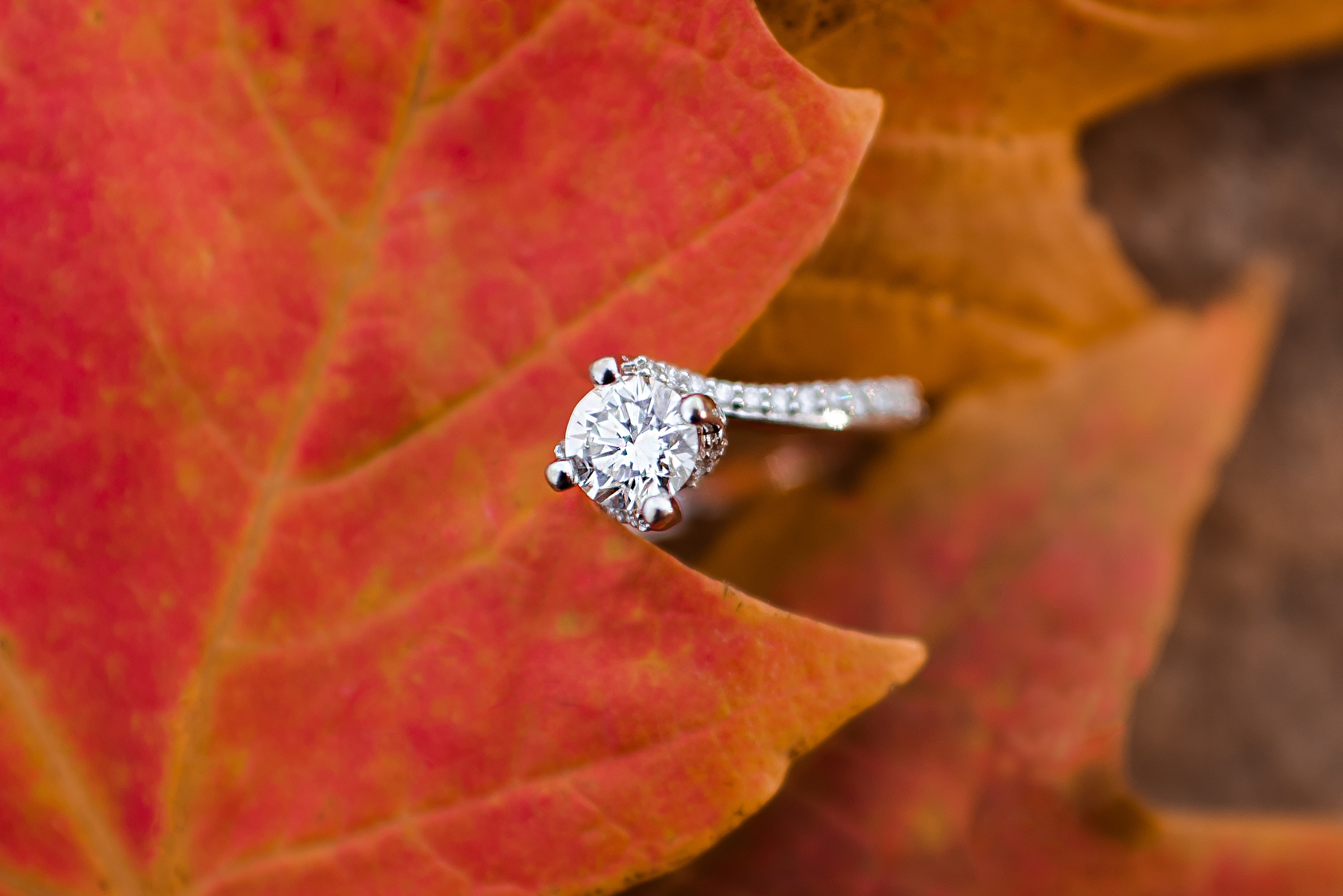 During engagement sessions I take time to get photos of the bride's new engagement ring for her gallery.